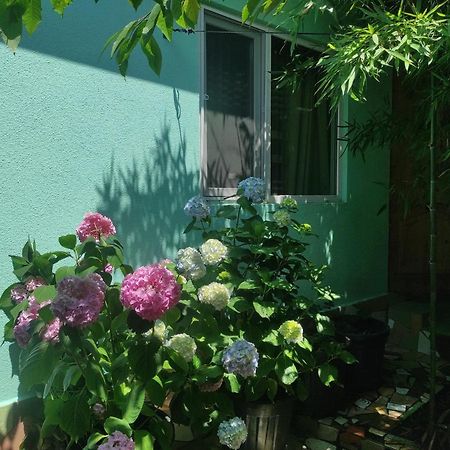 Гостевой Дом Ирина Sukhumi Exterior foto