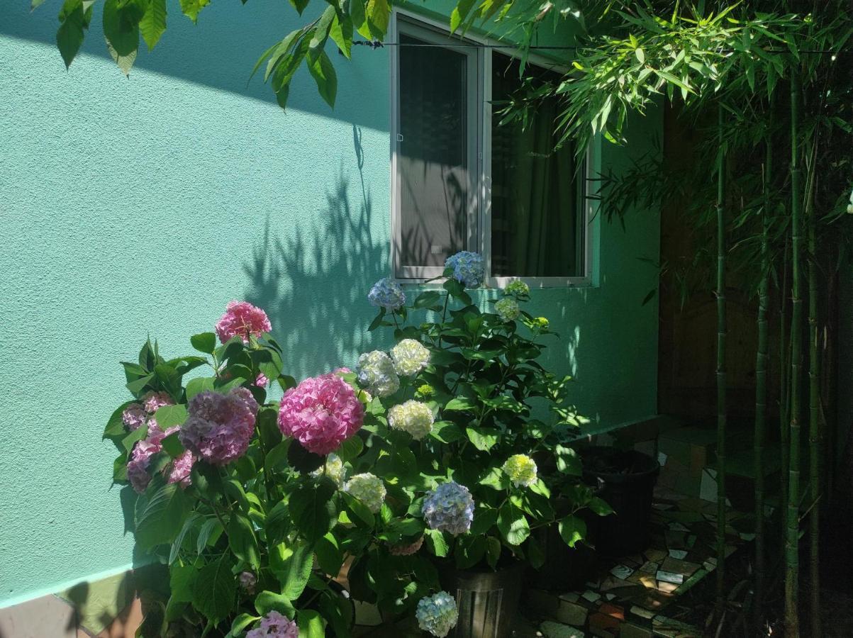 Гостевой Дом Ирина Sukhumi Exterior foto